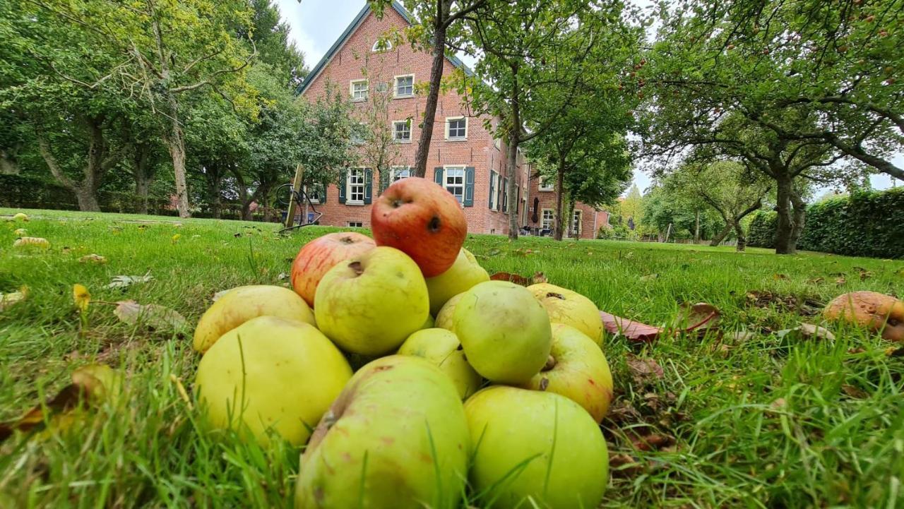 Gulfhof Boomgaarden Boomgaarden 16 Albert Krummhörn エクステリア 写真